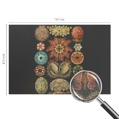 Tapet til soveværelset Tapet til soveværelset