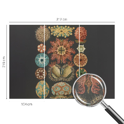 Tapet til soveværelset Tapet til soveværelset