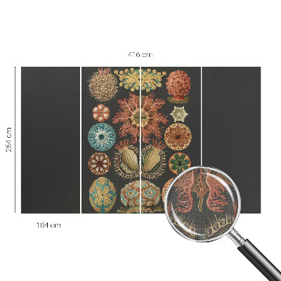 Tapet til soveværelset Tapet til soveværelset