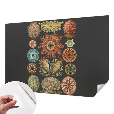 Tapet til soveværelset Tapet til soveværelset