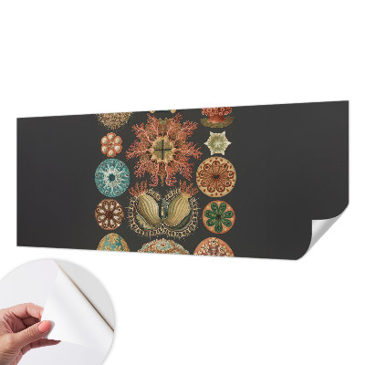 Tapet til soveværelset Tapet til soveværelset