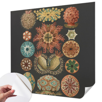 Tapet til soveværelset Tapet til soveværelset