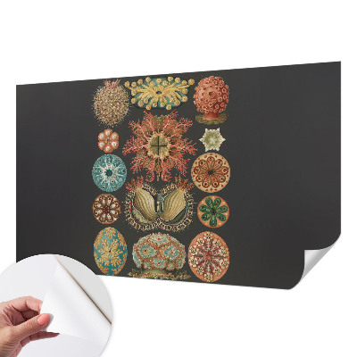 Tapet til soveværelset Tapet til soveværelset