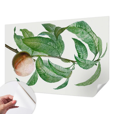 Selvklæbende tapet Selvklæbende tapet