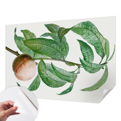 Selvklæbende tapet Selvklæbende tapet