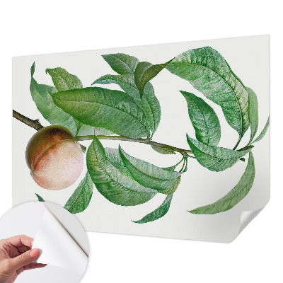 Selvklæbende tapet Selvklæbende tapet