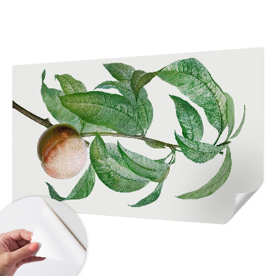 Selvklæbende tapet Selvklæbende tapet