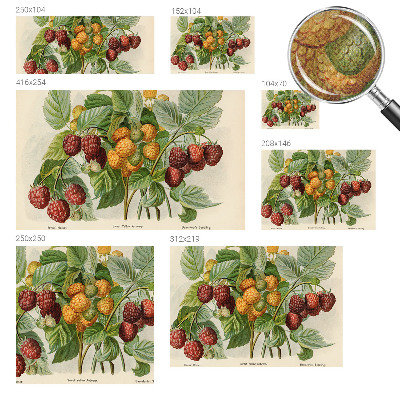 Selvklæbende fototapet Selvklæbende fototapet