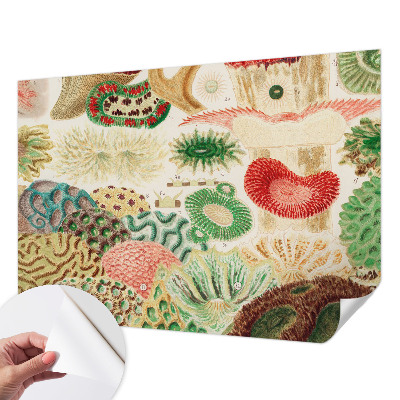 Billedtapet Billedtapet