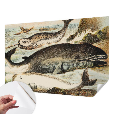 Mønstret tapet Mønstret tapet