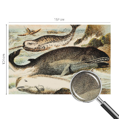 Mønstret tapet Mønstret tapet