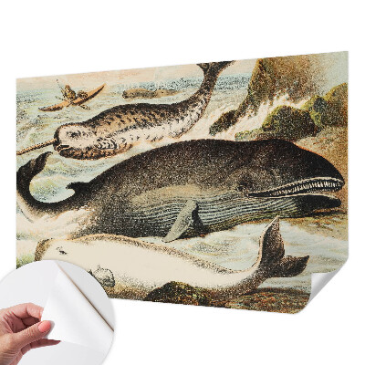 Mønstret tapet Mønstret tapet