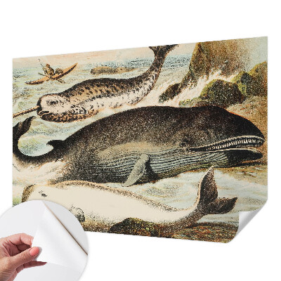 Mønstret tapet Mønstret tapet