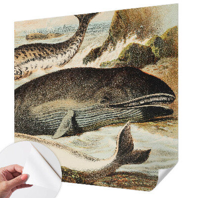 Mønstret tapet Mønstret tapet