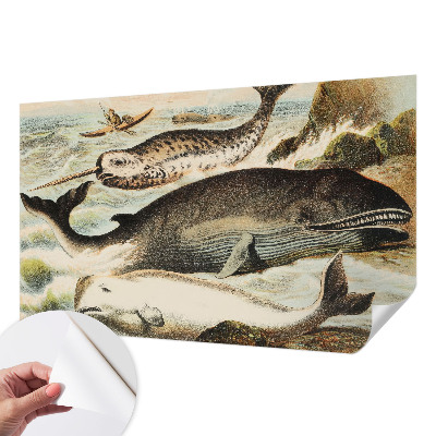 Mønstret tapet Mønstret tapet