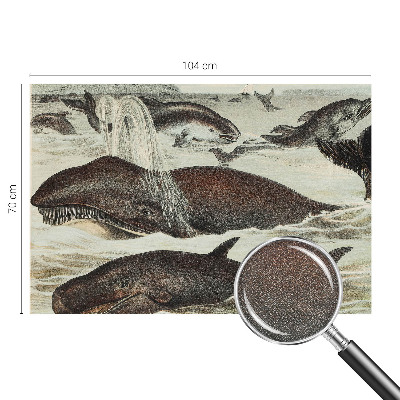 Retro tapet Retro tapet