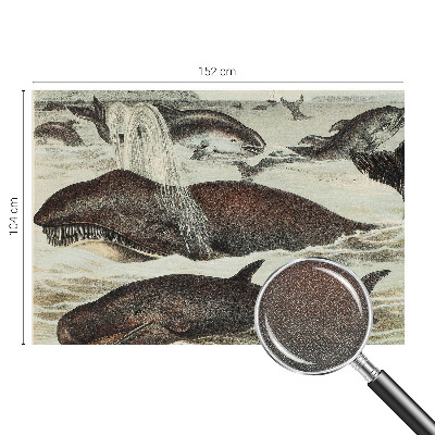 Retro tapet Retro tapet