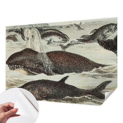 Retro tapet Retro tapet