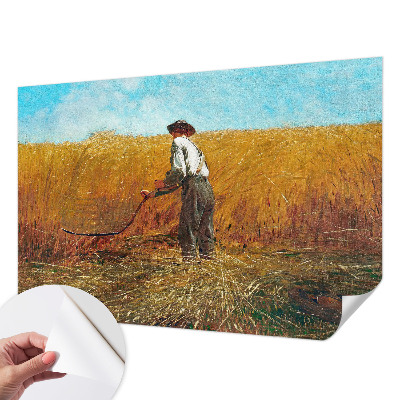 Tapet selvklæbende Tapet selvklæbende