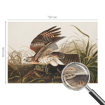 Billedtapet Billedtapet