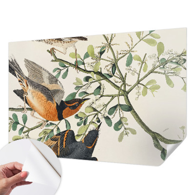 Selvklæbende tapet Selvklæbende tapet