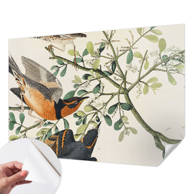 Selvklæbende tapet Selvklæbende tapet