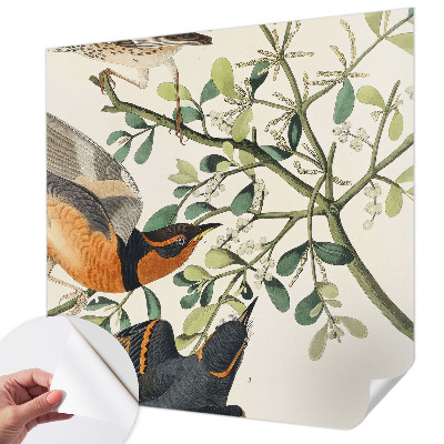 Selvklæbende tapet Selvklæbende tapet