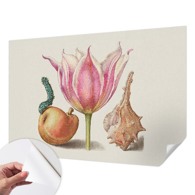 Tapet til køkken Tapet til køkken