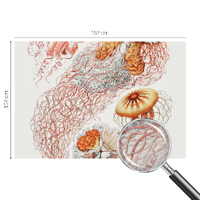 Selvklæbende vinyltapet Selvklæbende vinyltapet