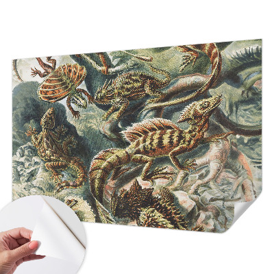 Tapet selvklæbende Tapet selvklæbende