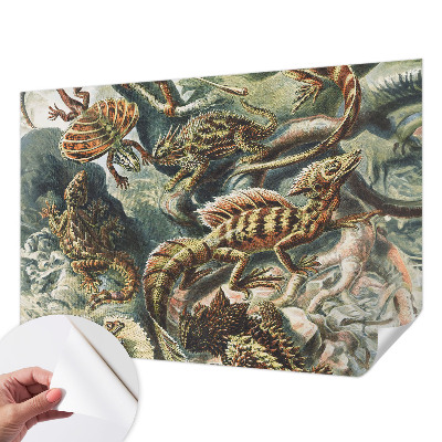 Tapet selvklæbende Tapet selvklæbende