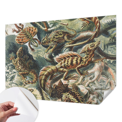 Tapet selvklæbende Tapet selvklæbende