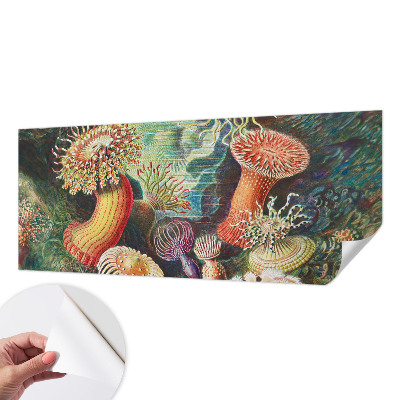 Tapet børneværelse Tapet børneværelse