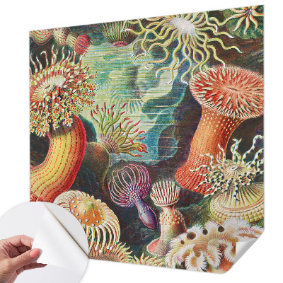 Tapet børneværelse Tapet børneværelse