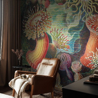 Tapet børneværelse Tapet børneværelse