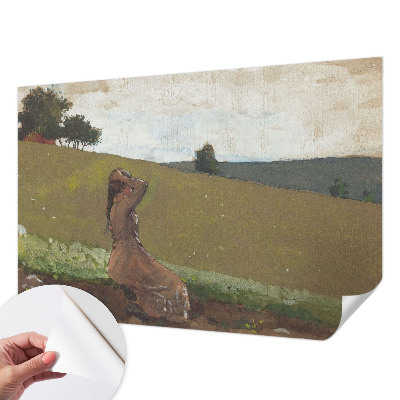 Tapet til køkken Tapet til køkken