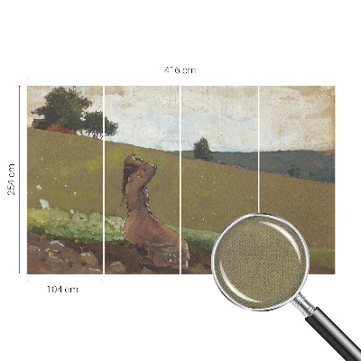 Tapet til køkken Tapet til køkken