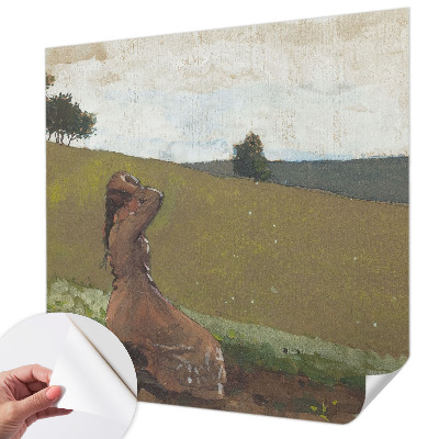 Tapet til køkken Tapet til køkken