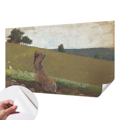 Tapet til køkken Tapet til køkken