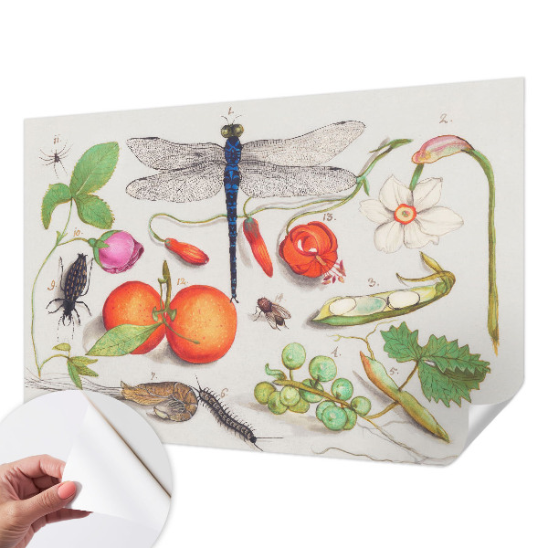 Fjernbar tapet Fjernbar tapet