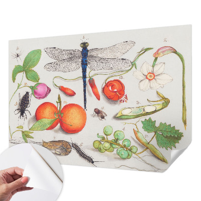 Fjernbar tapet Fjernbar tapet