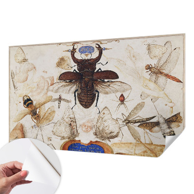 Selvklæbende vinyltapet Selvklæbende vinyltapet