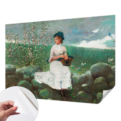 Tapet børneværelse Tapet børneværelse