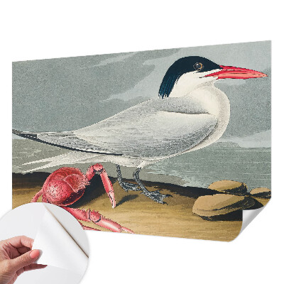 Tapet til soveværelset Tapet til soveværelset