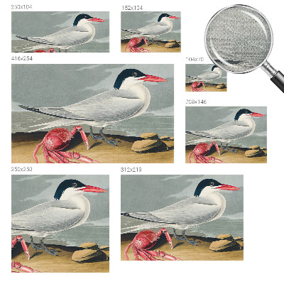 Tapet til soveværelset Tapet til soveværelset