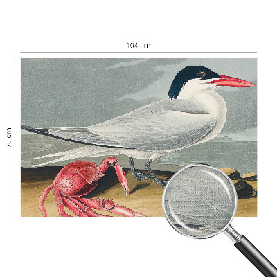 Tapet til soveværelset Tapet til soveværelset