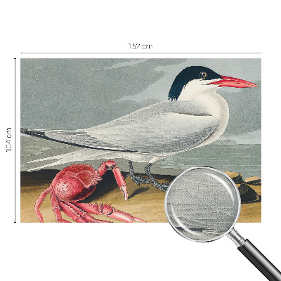 Tapet til soveværelset Tapet til soveværelset