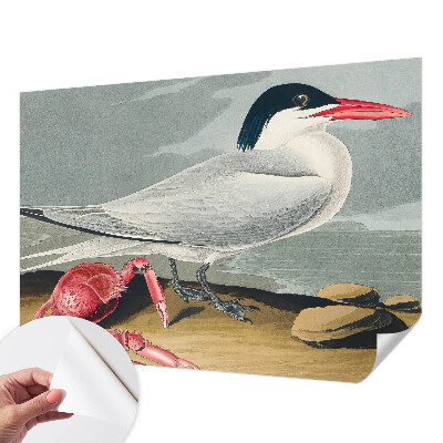 Tapet til soveværelset Tapet til soveværelset