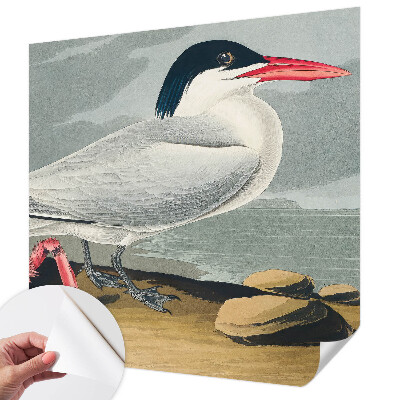 Tapet til soveværelset Tapet til soveværelset