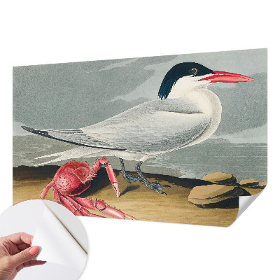 Tapet til soveværelset Tapet til soveværelset